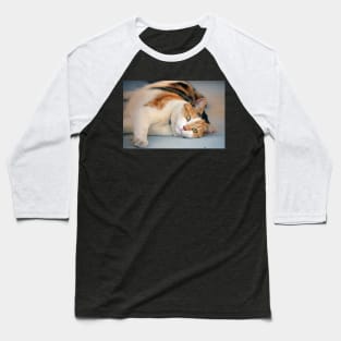 Purrfect Day Baseball T-Shirt